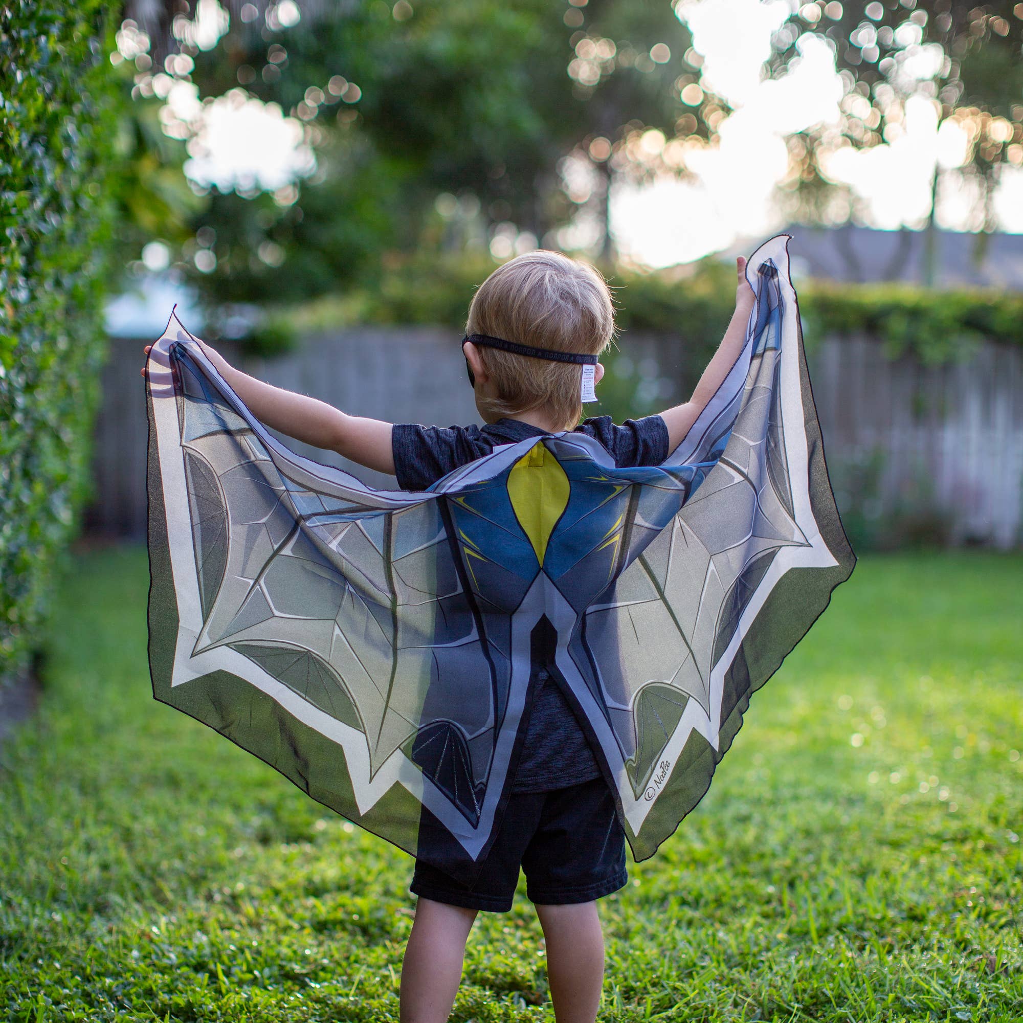 Dreamy Dress-Ups - Bat Wings + Mask Set