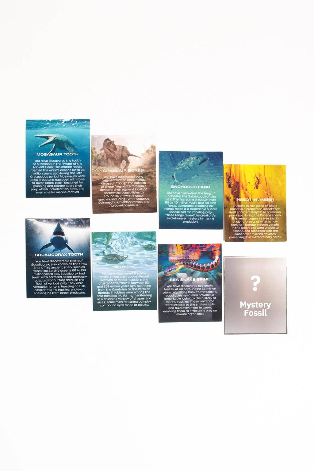 Stemcell Science - Fossil Blind Bag