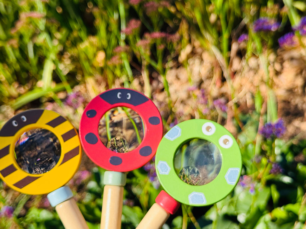 Toyslink - Wooden Magnifying Glass
