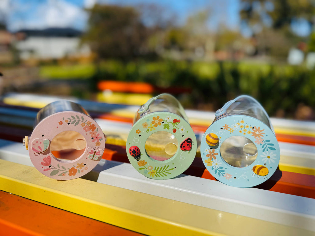Toyslink - Bug Jar with Magnifier Wooden Lid