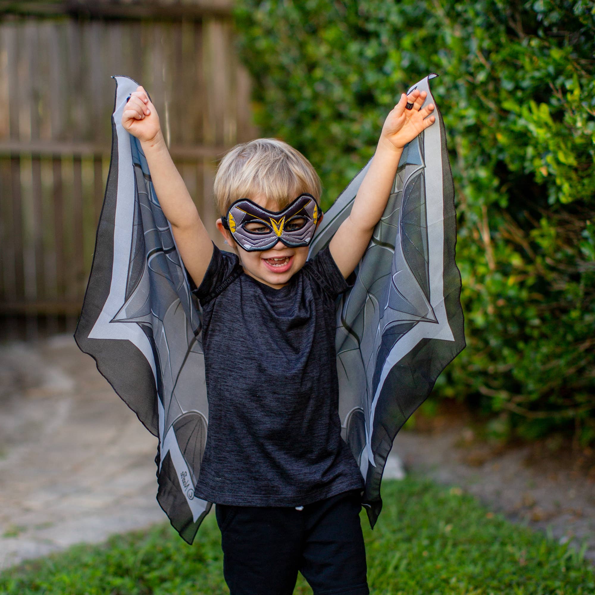 Dreamy Dress-Ups - Bat Wings + Mask Set