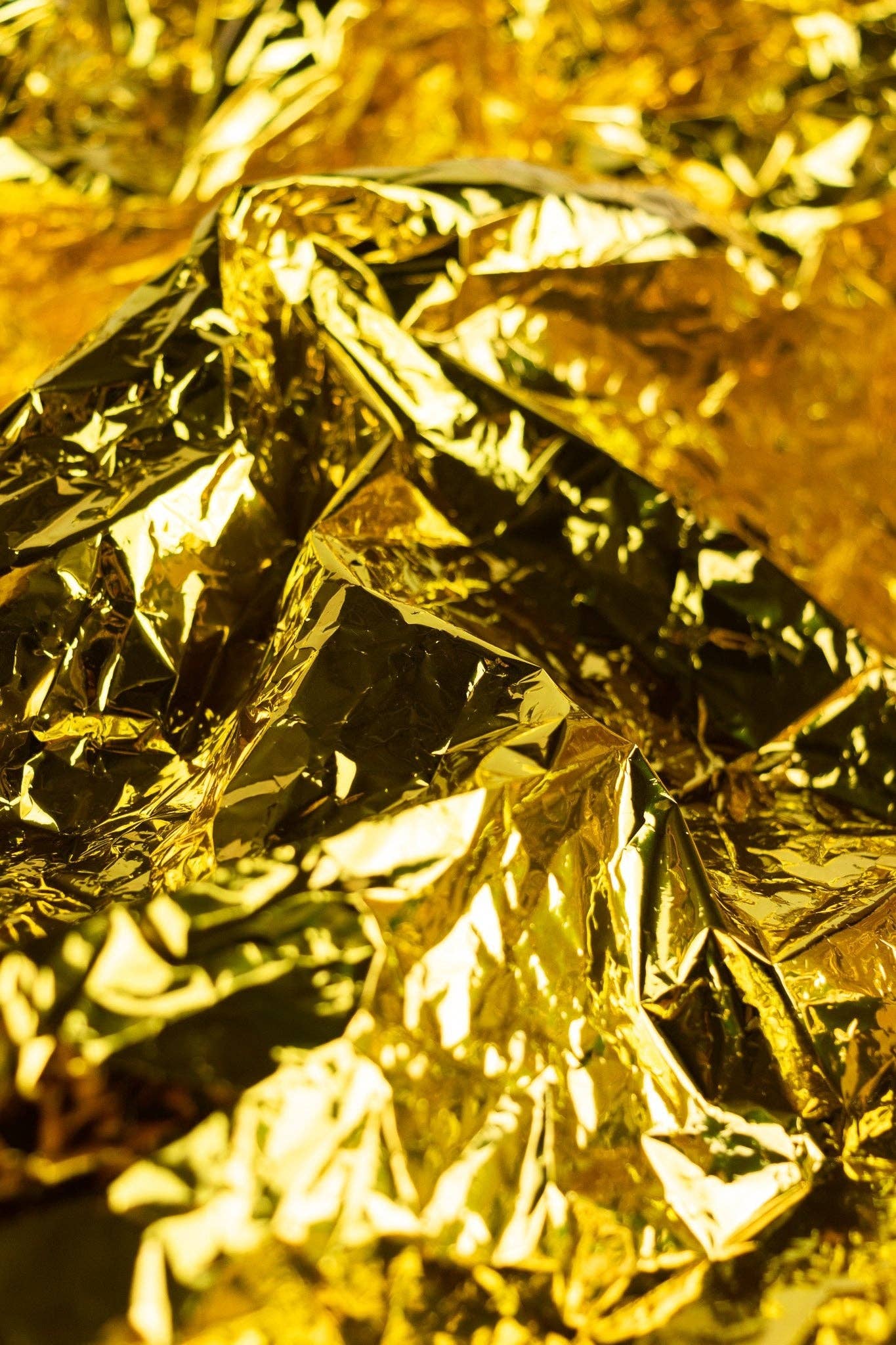 Stemcell Science - Space Blanket