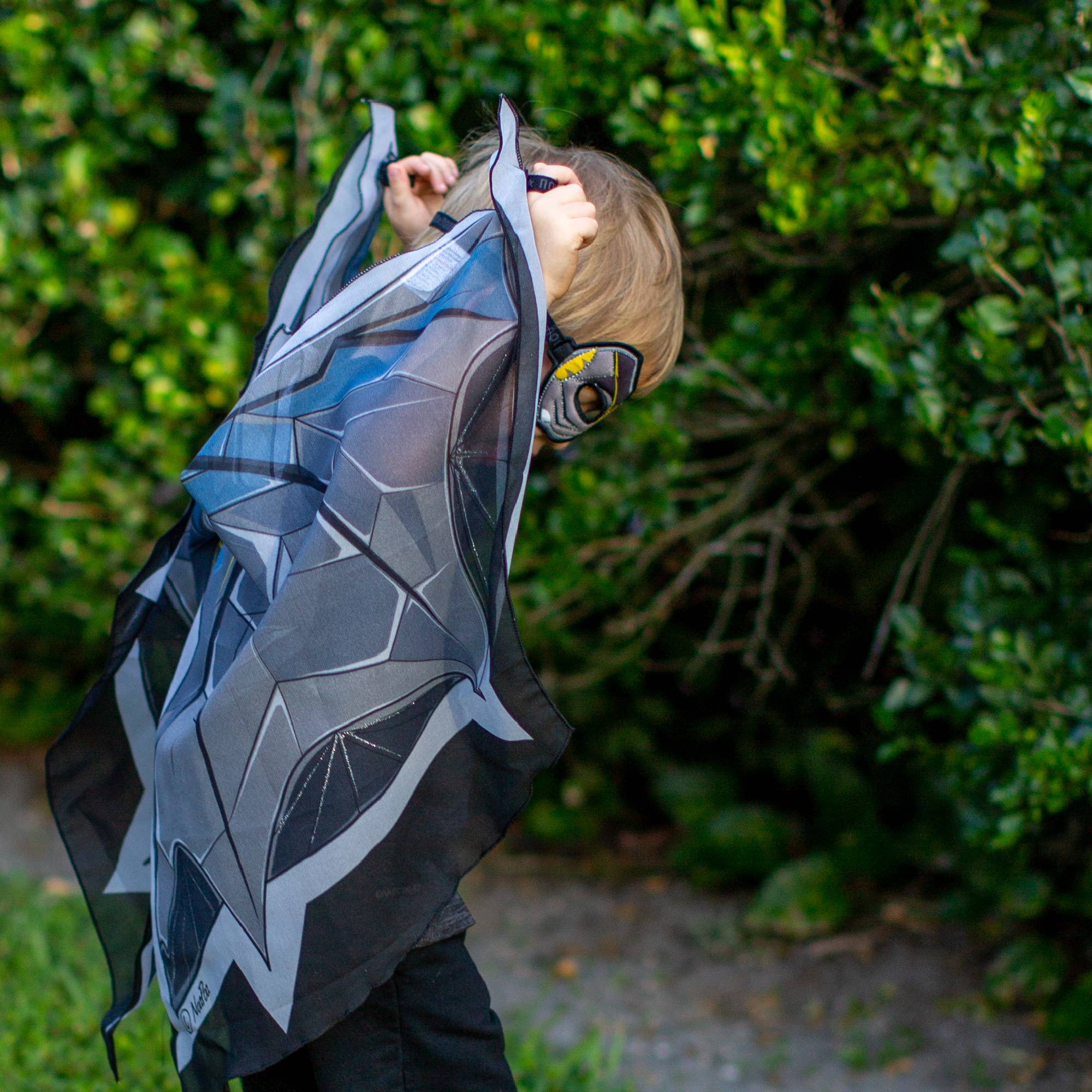 Dreamy Dress-Ups - Bat Wings + Mask Set